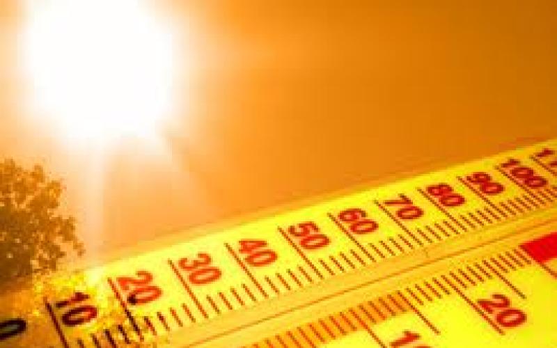 المملكة تتأثر بموجة حارة وجافة