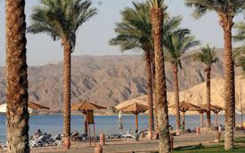 حماية البيئة تتعامل مع 39 ألف و342 قضية بيئية منذ بداية العام الجاري