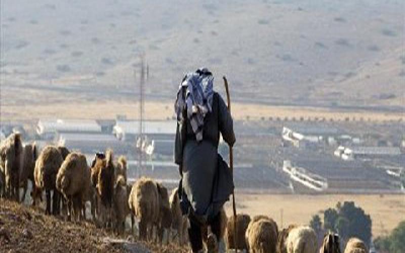 الكواليت: الأصل فرض الضريبة على الاستيراد وليس التصدير