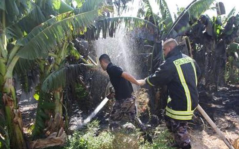 حريق بـ100 دونم موز بالكفرين