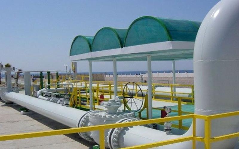 العناني: الغاز الإسرائيلي أحد الخيارات.. والنقابات تطالب بوقف المفاوضات