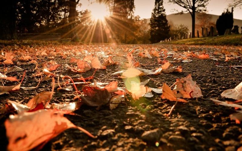 أجواء خريفية والحرارة في عمّان 30 مئوية