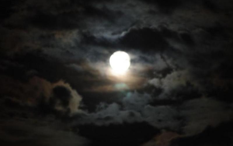 أجواء خريفية نهاراً وباردة ليلاً مع تشكل للضباب