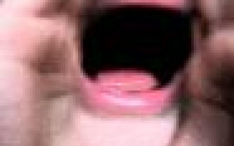 اكزوزت الصوت الواحد