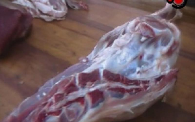 اللحوم المستوردة خيار المواطن في رمضان (فيديو)