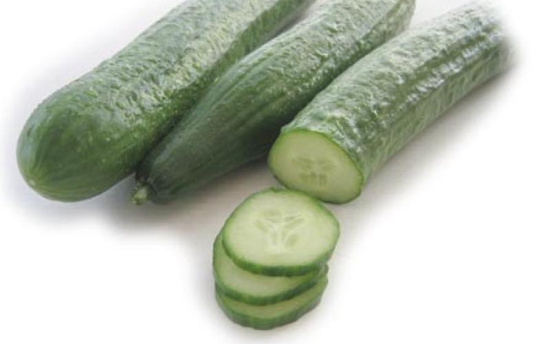 Jordan stops exporting cucumber