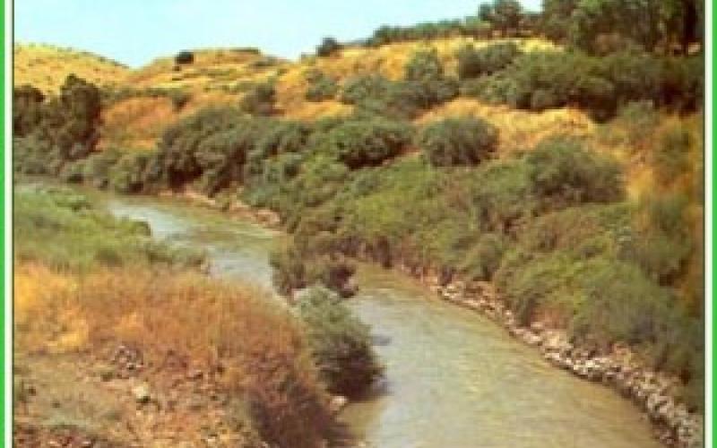 لمحة: رح تصوِّت؟