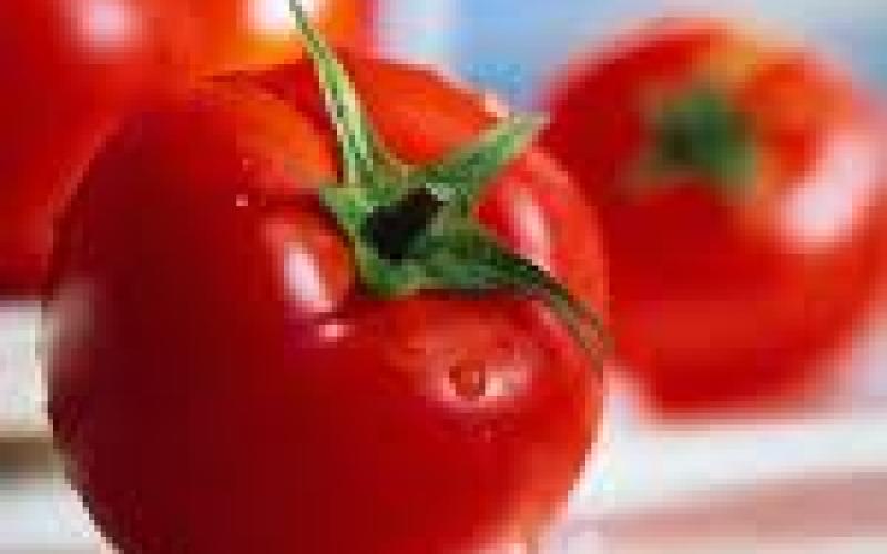 كريّات الوطن الحمراء