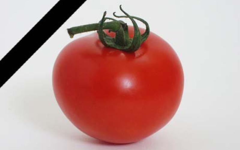 Jordanians talk about tomato prices as joke