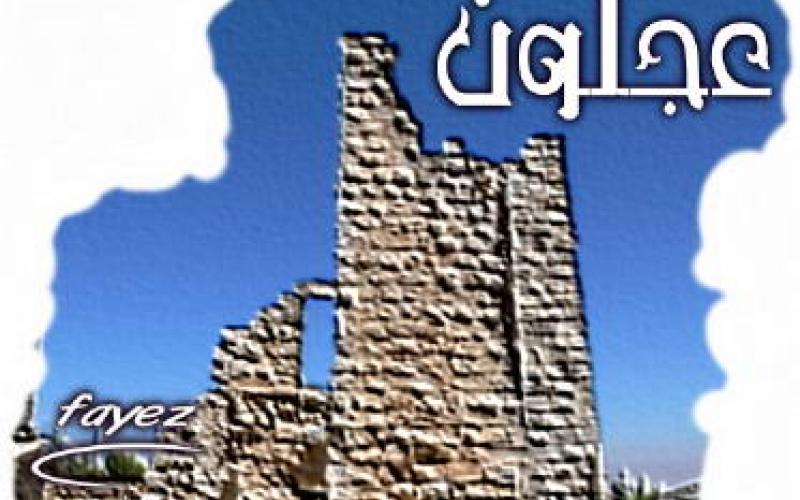 10 مرشحين في عجلون سددوا رسوم الترشح للانتخابات النيابية