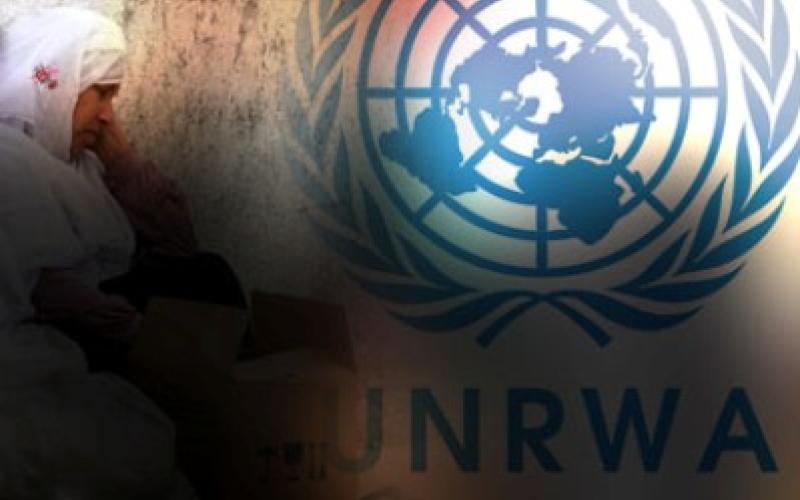 UNRWA’s Whitley apologizes about right to return statements