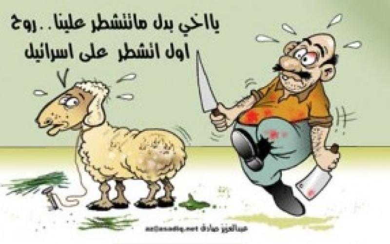 نعم.. للحيوانات حقوق إن كنت لا تعرف