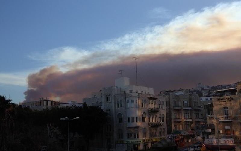 إسرائيل تطلب مساعدة أردنية لإخماد حريق بمنطقة الكرمل 