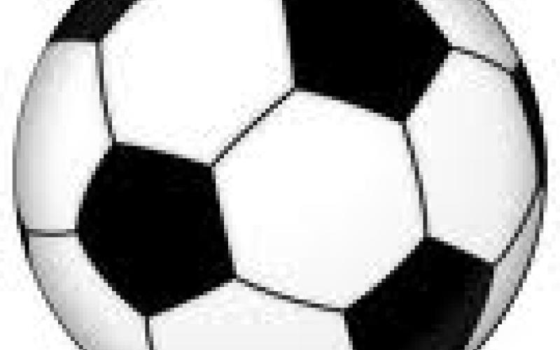 الانحياز للوطن 