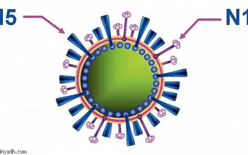 مواصلة الإجراءات الوقائية والتشخيصية لمرض انفلونزا H1N1