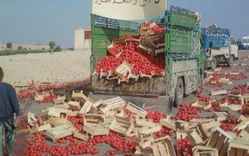 مزارعو الأغوار الجنوبية يجددون إغلاق طريق العقبة بالبندورة