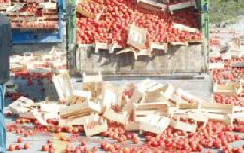 Oran: Tomato prises to increase temporarily