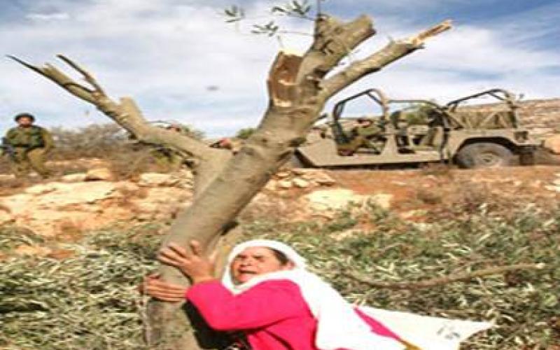 حشد في ذكرى يوم الأرض الثورات تصب في صالح القضية الفلسطينية