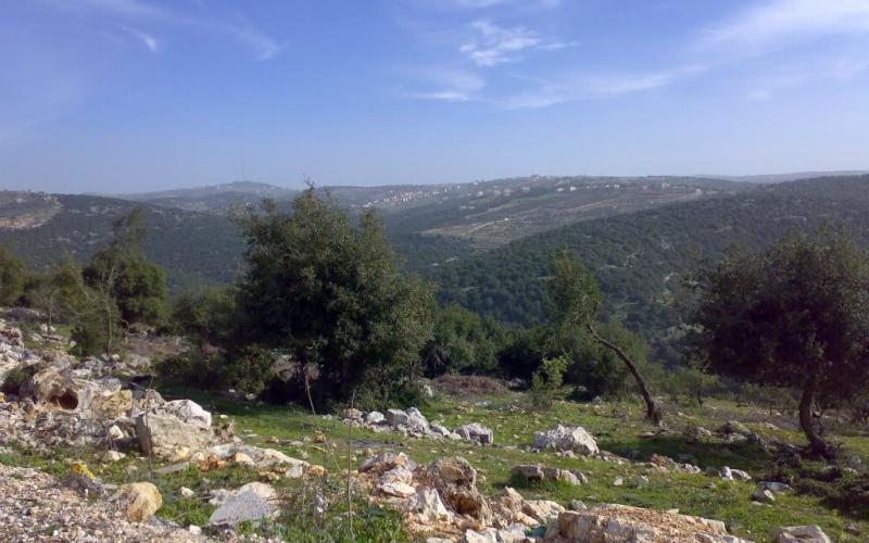 وقفة احتجاجية في غابات برقش ضد إنشاء الكلية العسكرية