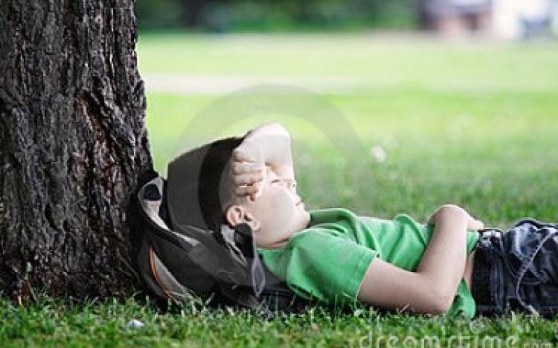 العثور على طفل “سرقه النوم” في ظل شجرة