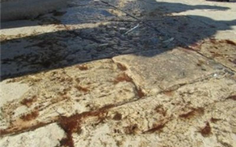 "دعاء" يدين اقتحام مستوطنين للأقصى وكسر زجاجة خمر في باحته