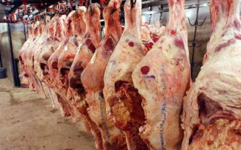 توفيق: الإعفاء من الرسوم لن ينعكس على أسعار اللحوم