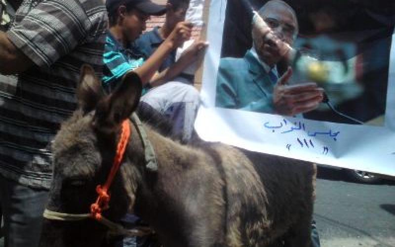 "صور" أهالي معان يرفعون صور البخيت على ظهر حمار