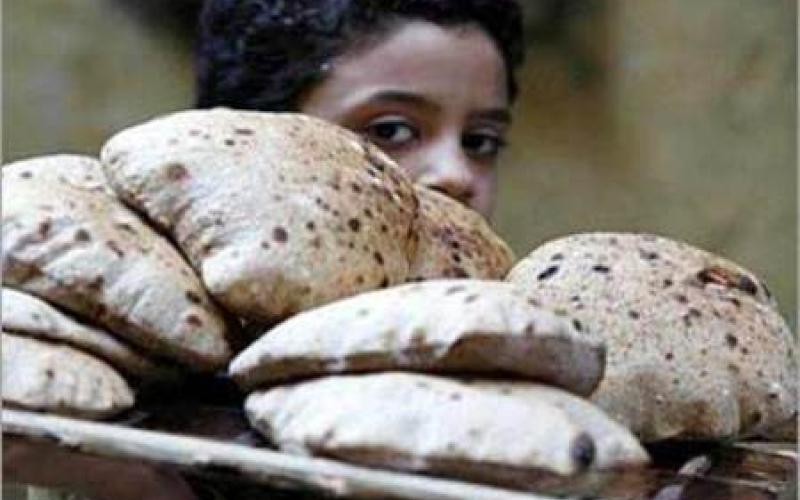 الخبز المدعوم علف للماشية في الأردن!