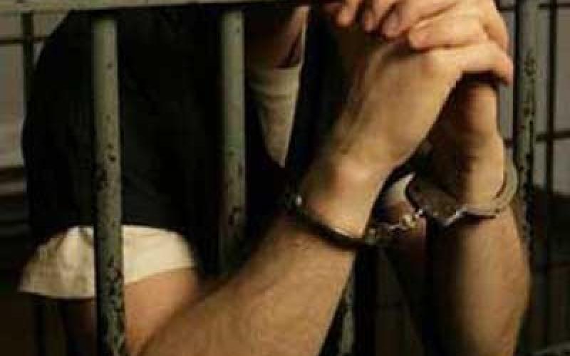 شاهد.. المجالي: نمو الجريمة في المملكة ضمن المستوى الطبيعي