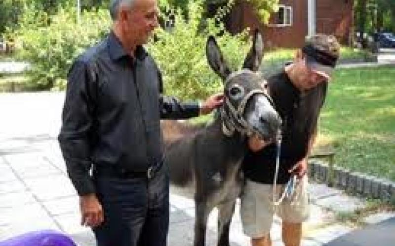 الفروق الثلاثة