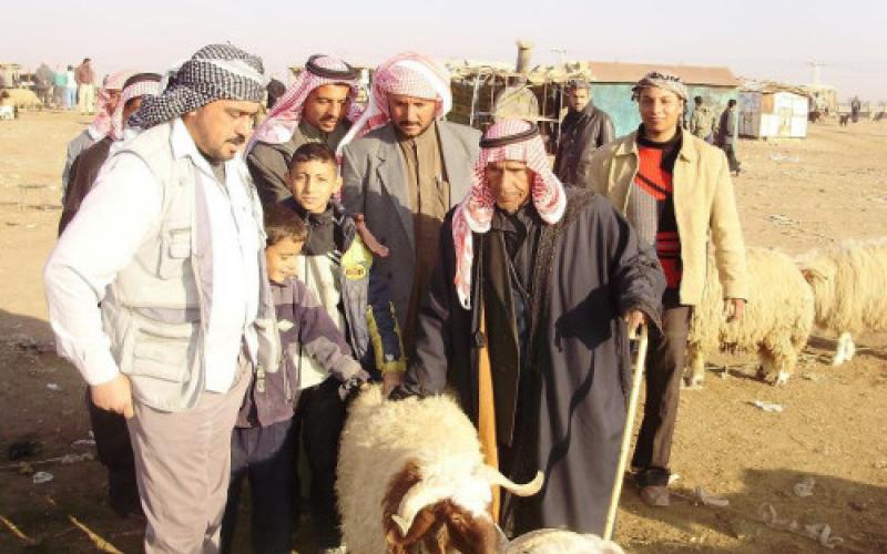 الإفتاء: تقسيط الأضاحي أو تأجيل ثمنها جائز شرعا 