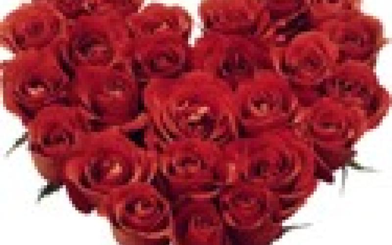 عيد الحب الأول في زمن الحرية والثورة.. ما زلنا نحتاج لورود أكثر 