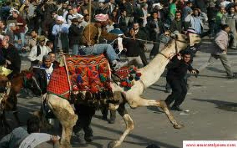 الخاصية الفيزيائية للسقوط