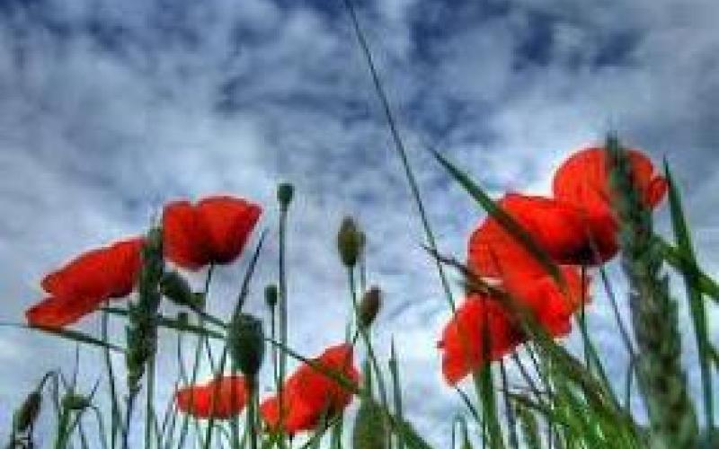 انخفاض طفيف على درجات الحرارة وأجواء معتدلة