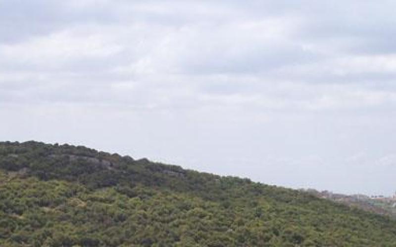 أجواء معتدلة إلى حارة نسبية والعظمى في عمان 29