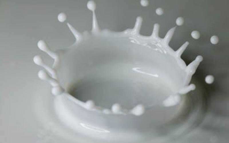 مصنعو الألبان: عدم رفع الأسعار رغم ارتفاع تعرفة الكهرباء