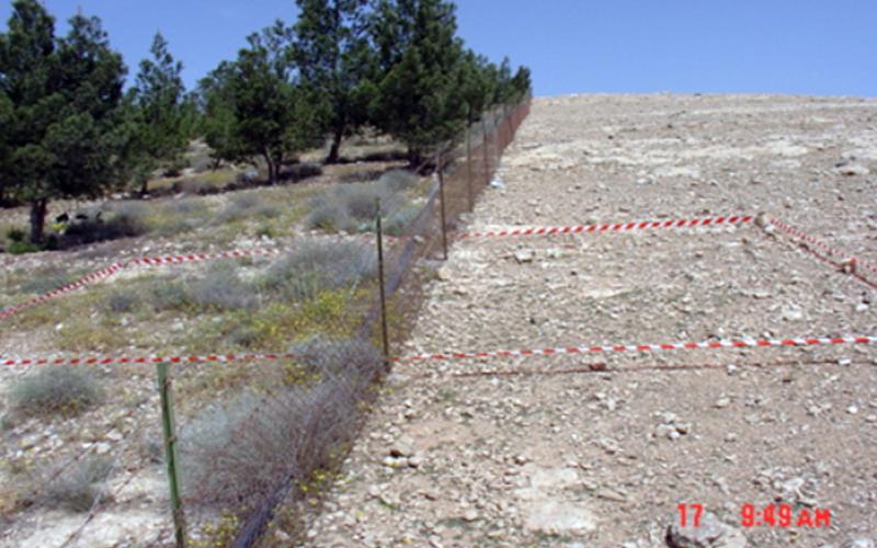 الأمانة :توجه لإنشاء مشاتل في وادي القطّار 