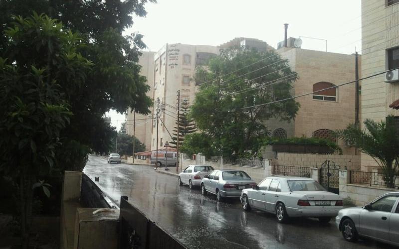 أجواء معتدلة وزخات من الأمطار في اربد