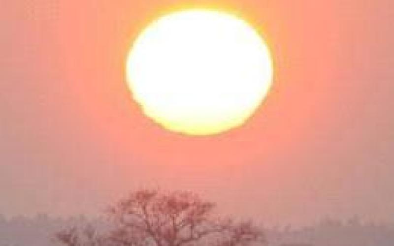 طقس حار نسبيا اليومين المقبلين 