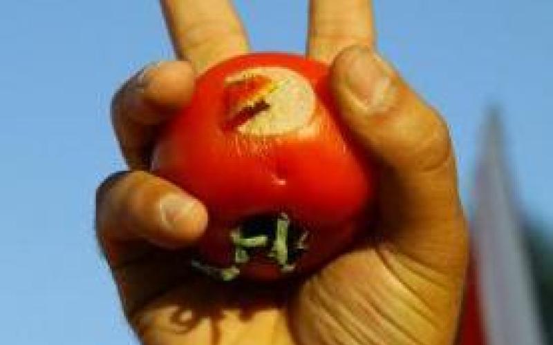 اعتقال ناشطين في اربد حاولوا اعترض الطراونة 