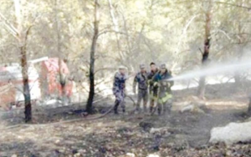 اخماد حريق داخل غابة وصفي التل موقع عمان نت
