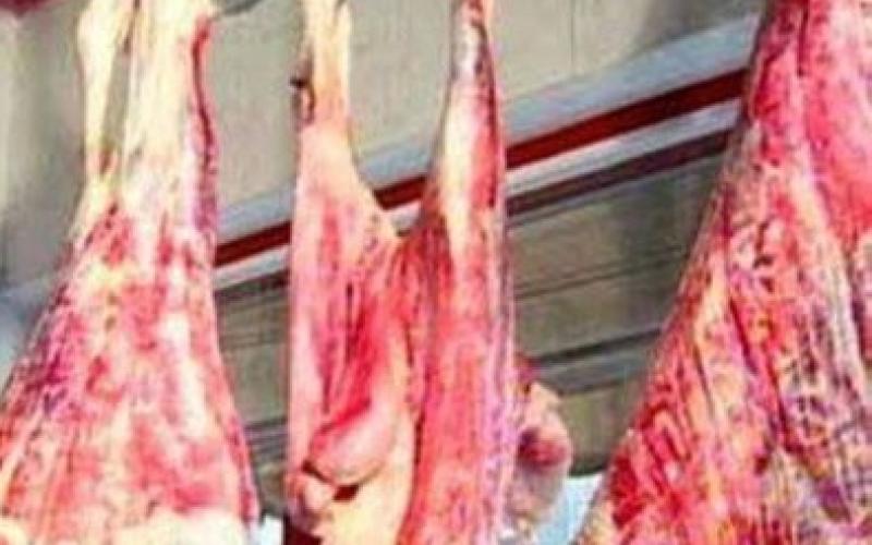 خطة عمل دائرة المسالخ خلال رمضان 