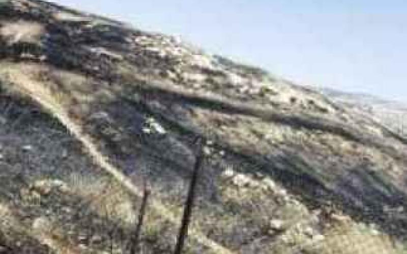 اطفاء حريق في منطقة الحمر 