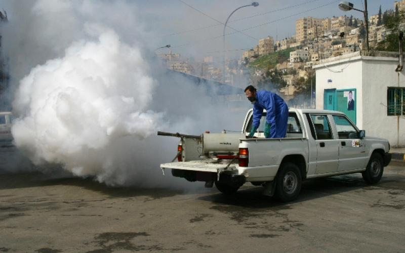 الأمانة: حملات لضبط ناقلات الأمراض خلال رمضان