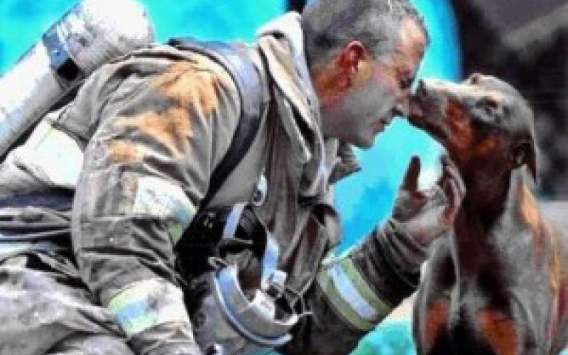 حريق في العمارة 