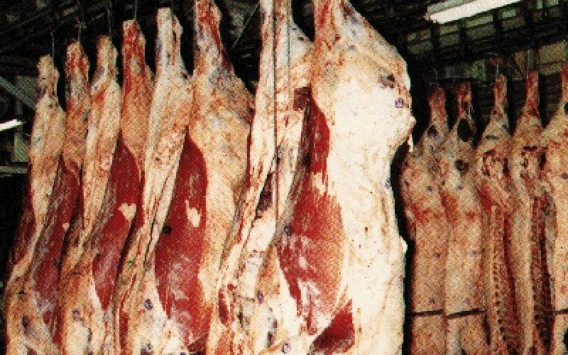 الامانة تتلف 4 طن لحوم وتغلق المستودع 