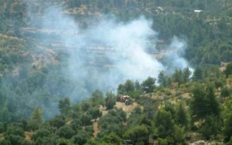 اربد: إخماد حريق أشجار مثمرة