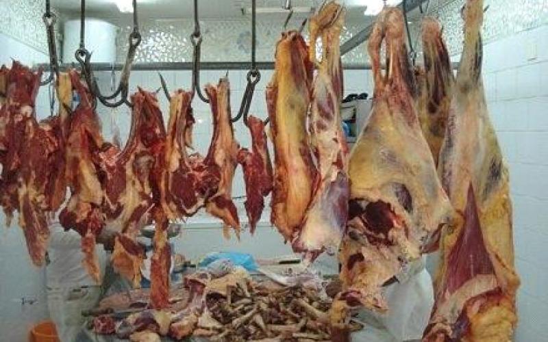 الأمانة تتلف 29 طن لحوم خلال ستة أيام