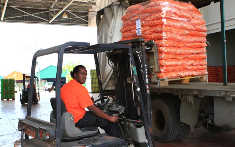 جزر شاليط يواصل غزو اسواق الاردن 