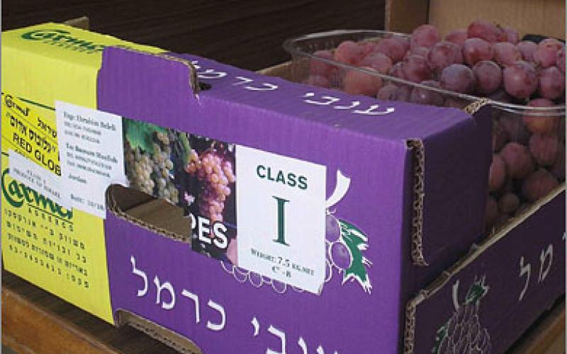 أبو غنيمة يحذر من إغراق السوق بالمنتجات الإسرائيلية